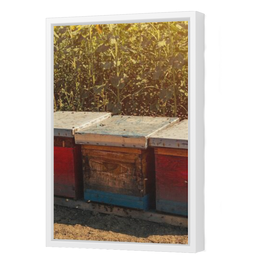 Thumbnail for Canvas - White Floating Frame