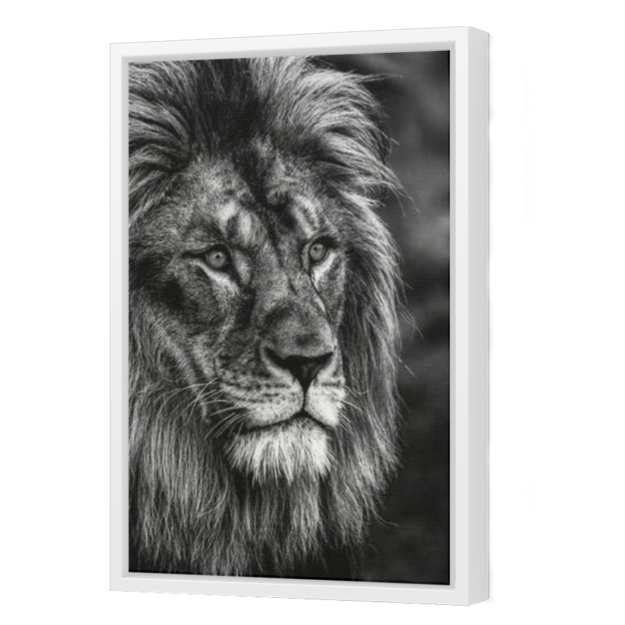 Thumbnail for Canvas - White Floating Frame