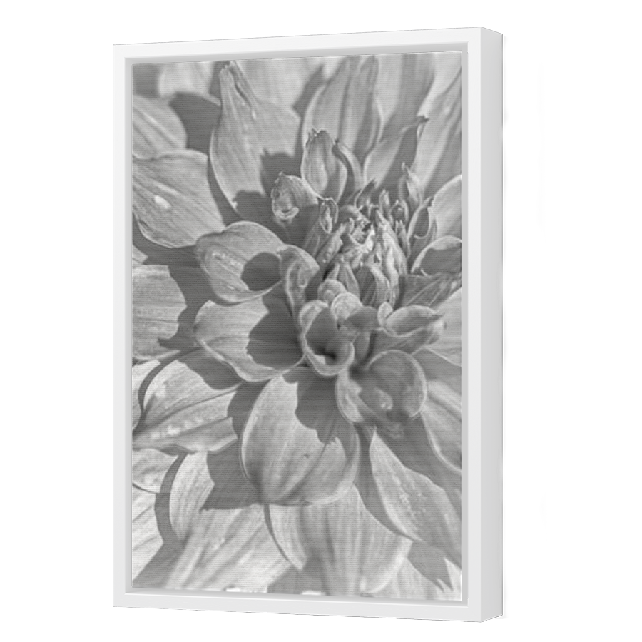 Thumbnail for Canvas - White Floating Frame