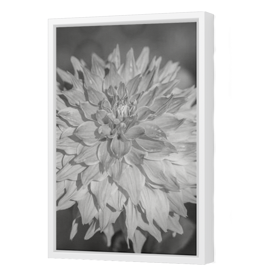 Thumbnail for Canvas - White Floating Frame