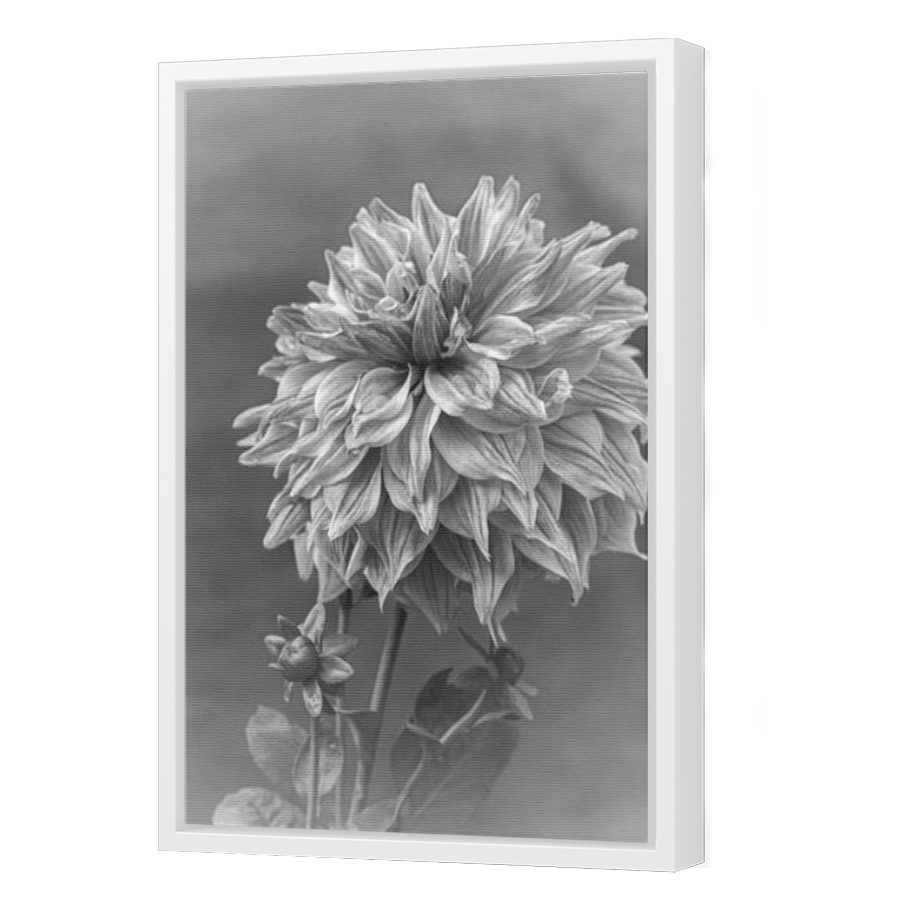 Thumbnail for Canvas - White Floating Frame