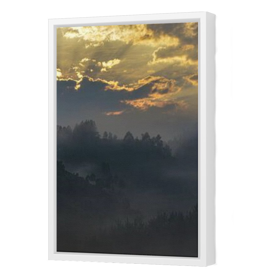 Thumbnail for Canvas - White Floating Frame