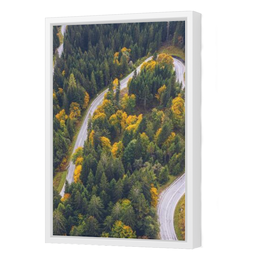 Thumbnail for Canvas - White Floating Frame