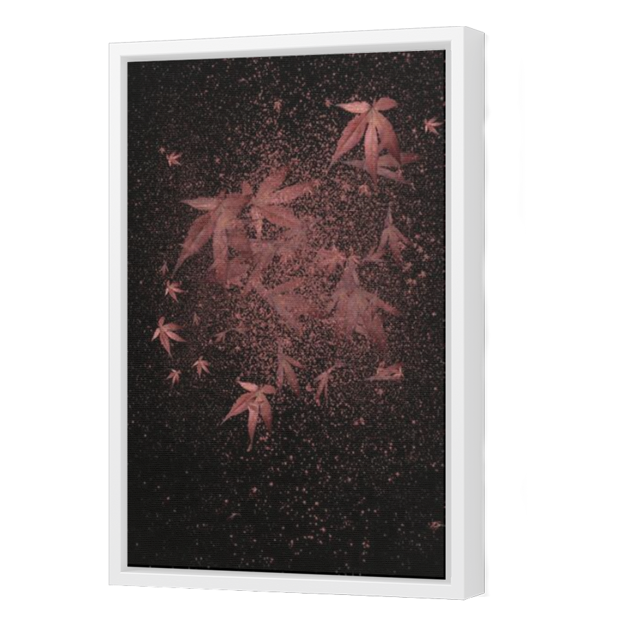 Thumbnail for Canvas - White Floating Frame