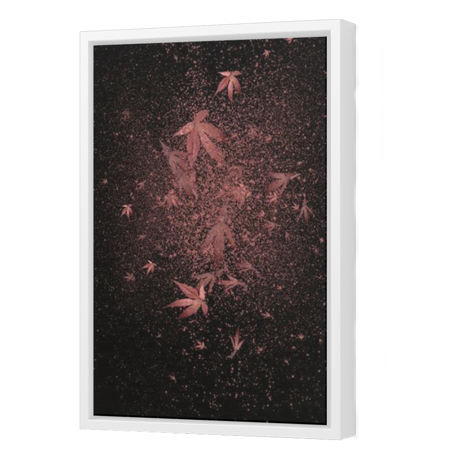 Thumbnail for Canvas - White Floating Frame