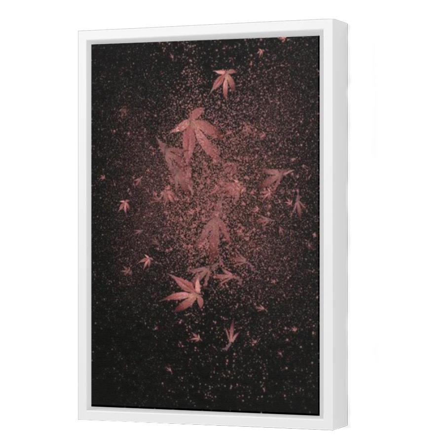 Thumbnail for Canvas - White Floating Frame