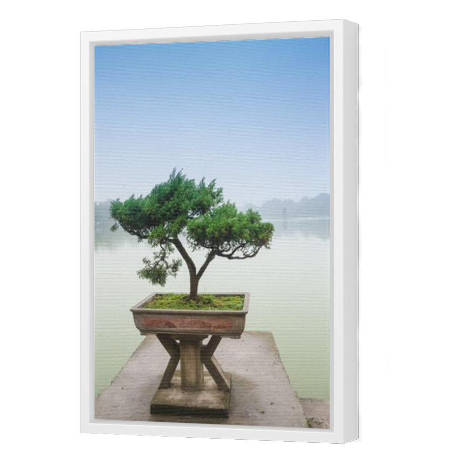 Thumbnail for Canvas - White Floating Frame