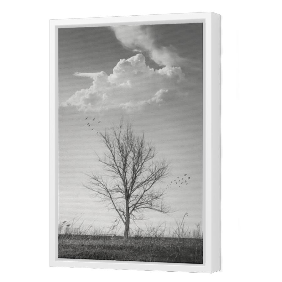 Thumbnail for Canvas - White Floating Frame