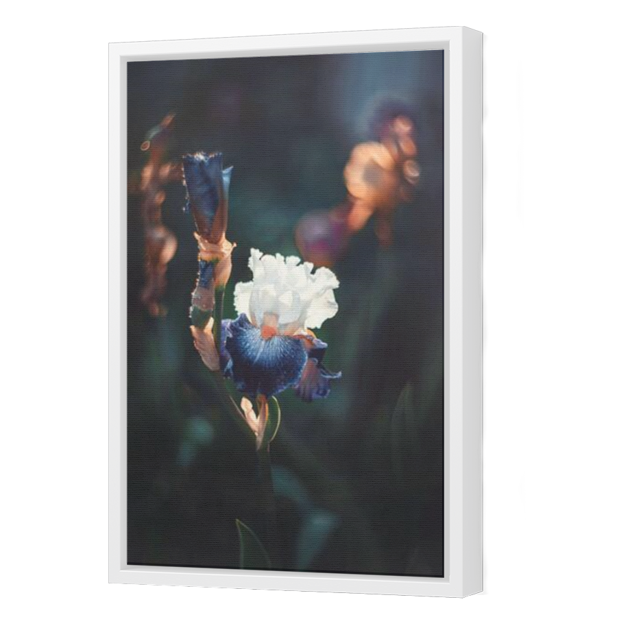 Thumbnail for Canvas - White Floating Frame