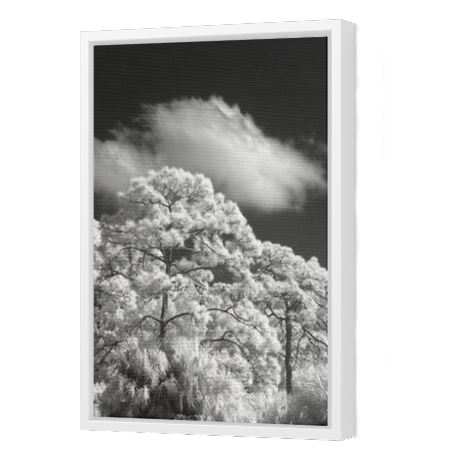 Thumbnail for Canvas - White Floating Frame