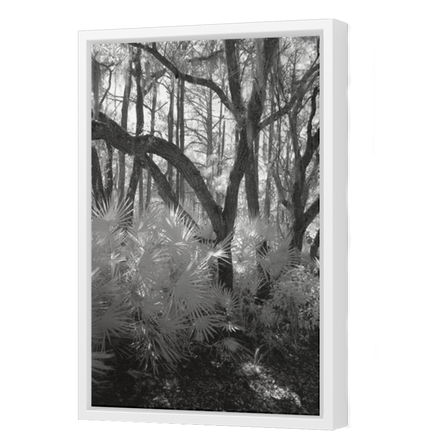 Thumbnail for Canvas - White Floating Frame