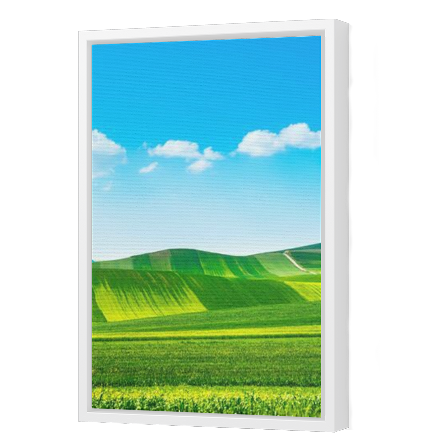 Thumbnail for Canvas - White Floating Frame