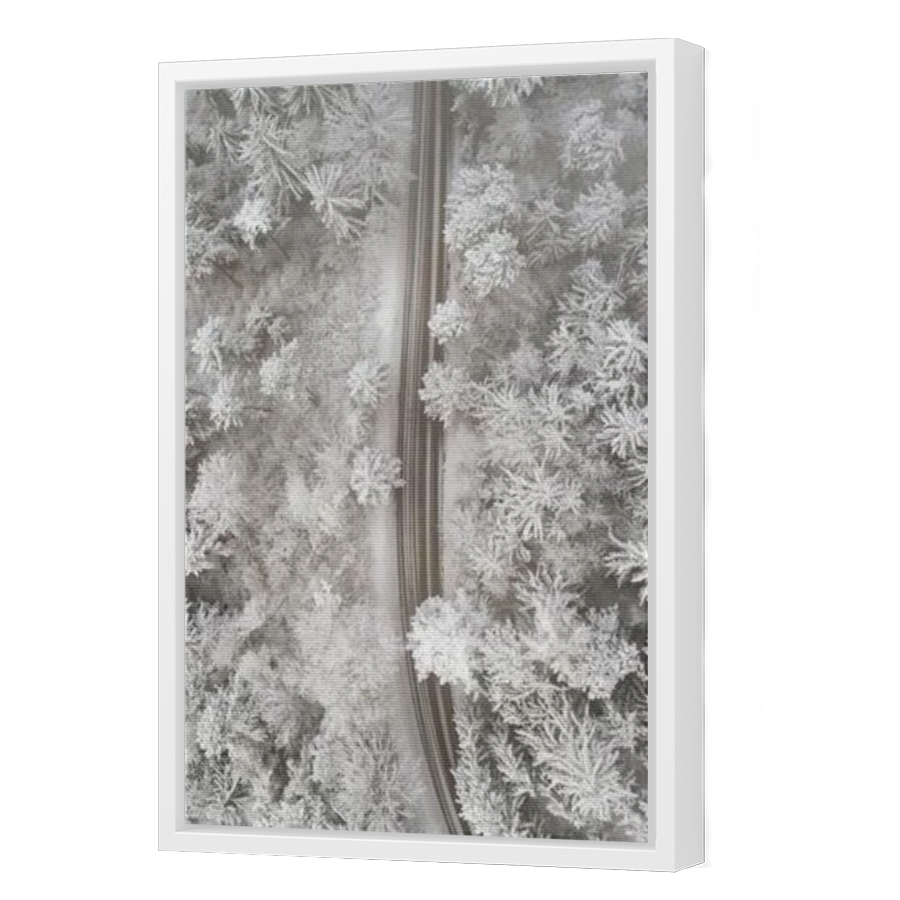 Thumbnail for Canvas - White Floating Frame