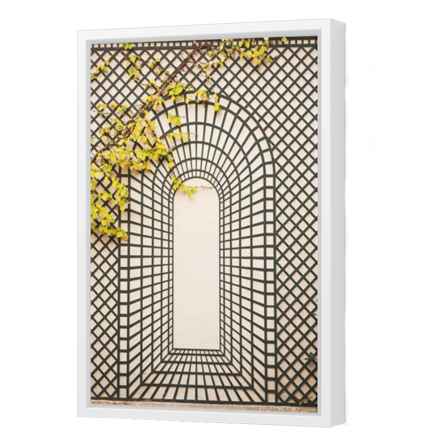 Thumbnail for Canvas - White Floating Frame