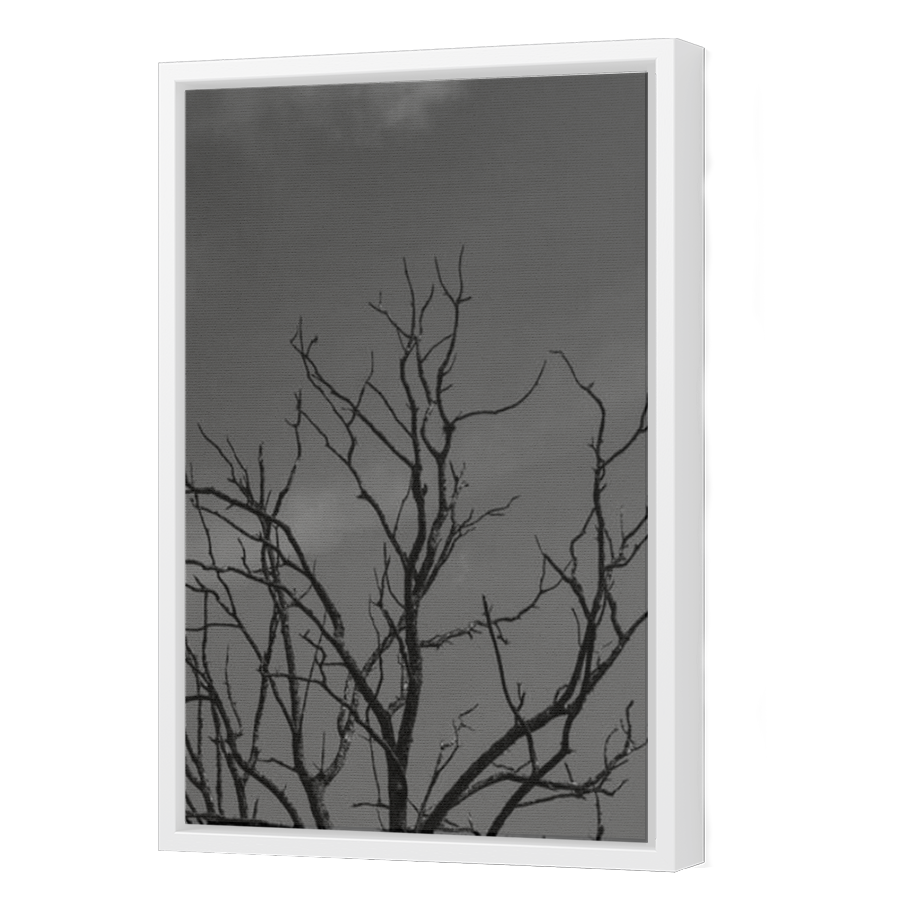 Thumbnail for Canvas - White Floating Frame