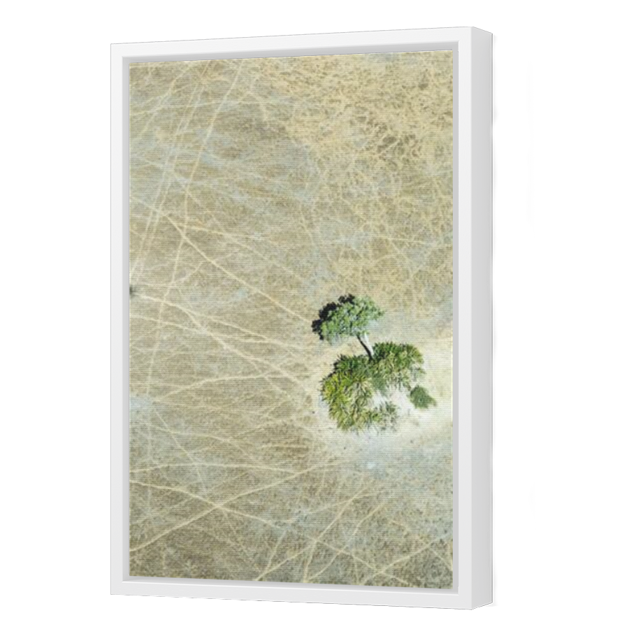 Thumbnail for Canvas - White Floating Frame