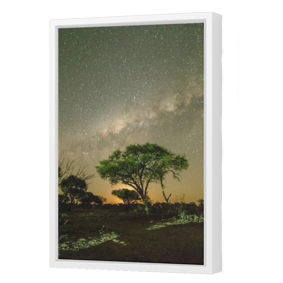 Thumbnail for Canvas - White Floating Frame