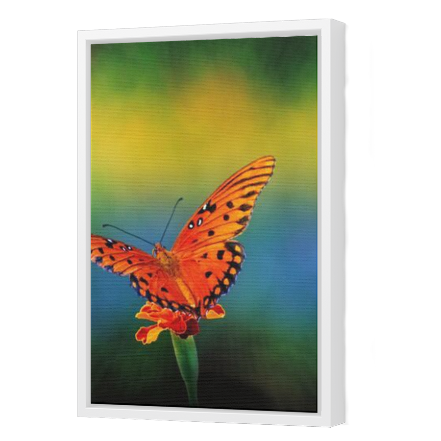 Thumbnail for Canvas - White Floating Frame