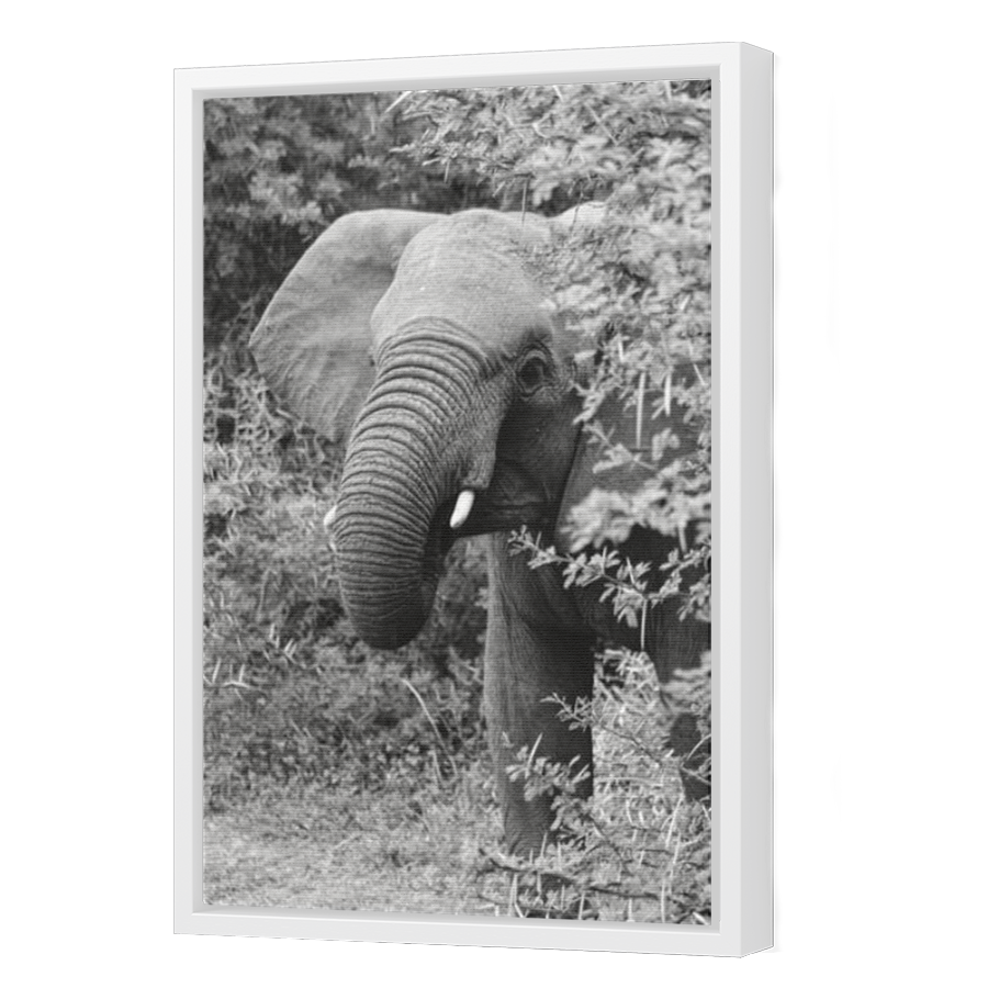 Thumbnail for Canvas - White Floating Frame