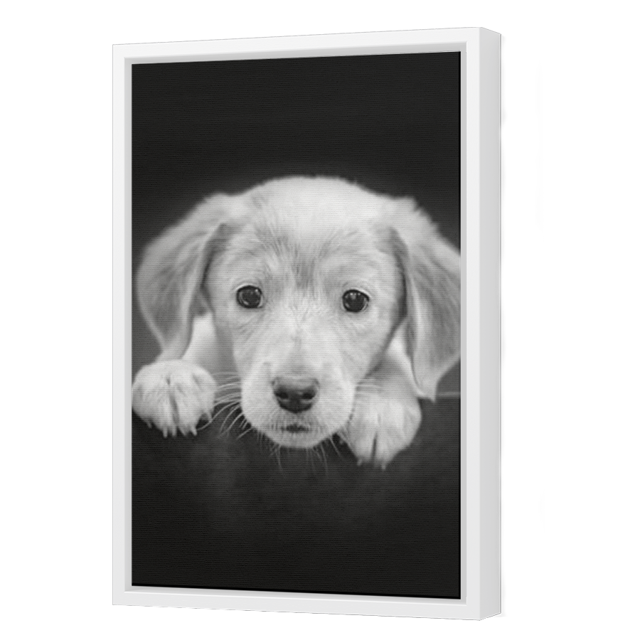 Thumbnail for Canvas - White Floating Frame