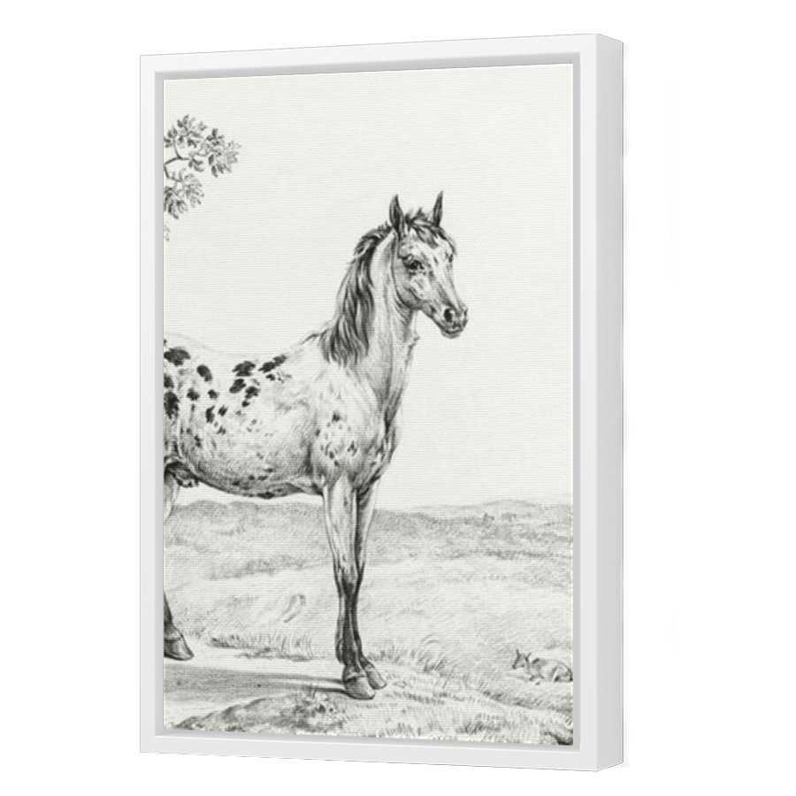 Thumbnail for Canvas - White Floating Frame