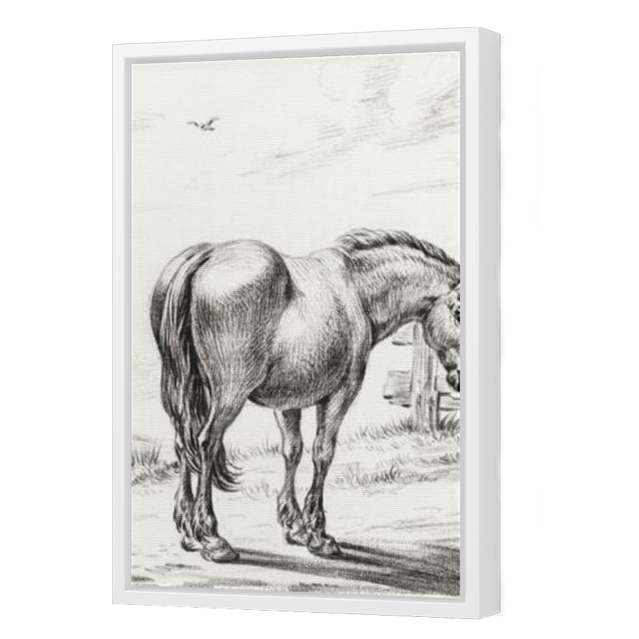 Thumbnail for Canvas - White Floating Frame