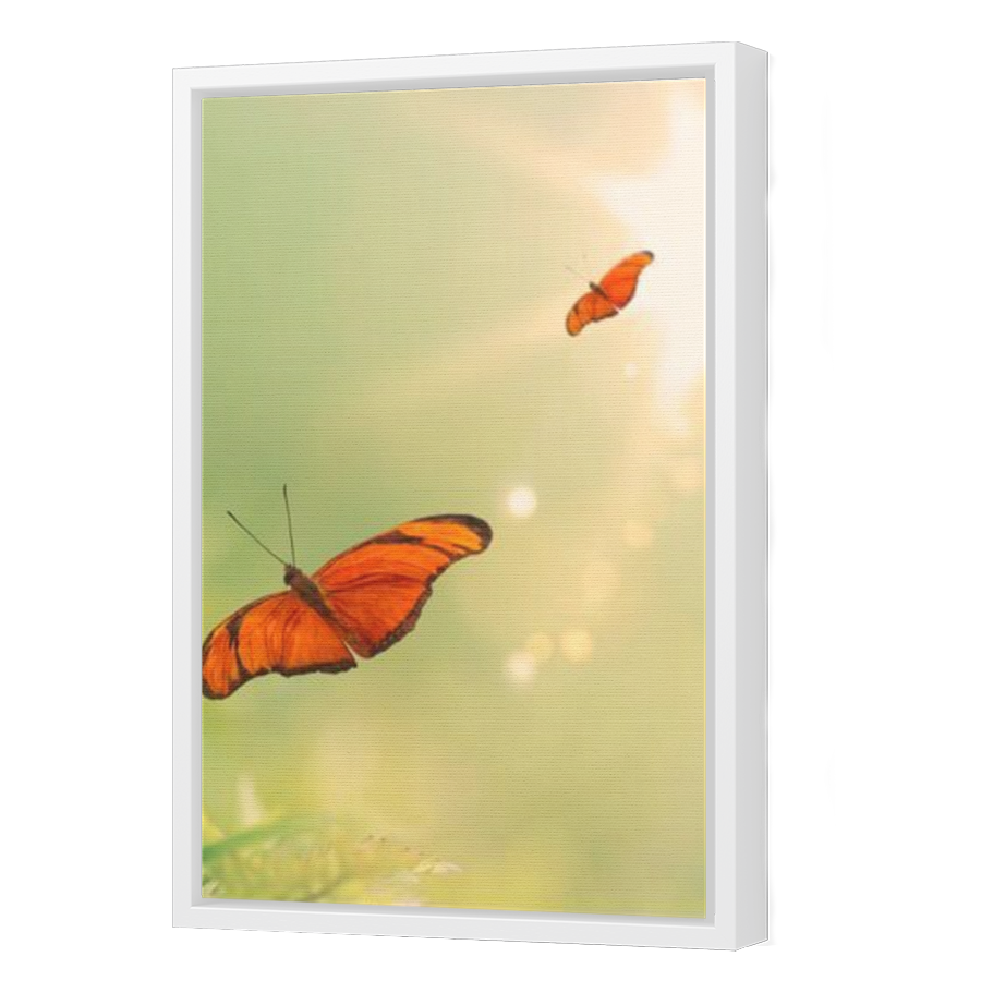 Thumbnail for Canvas - White Floating Frame