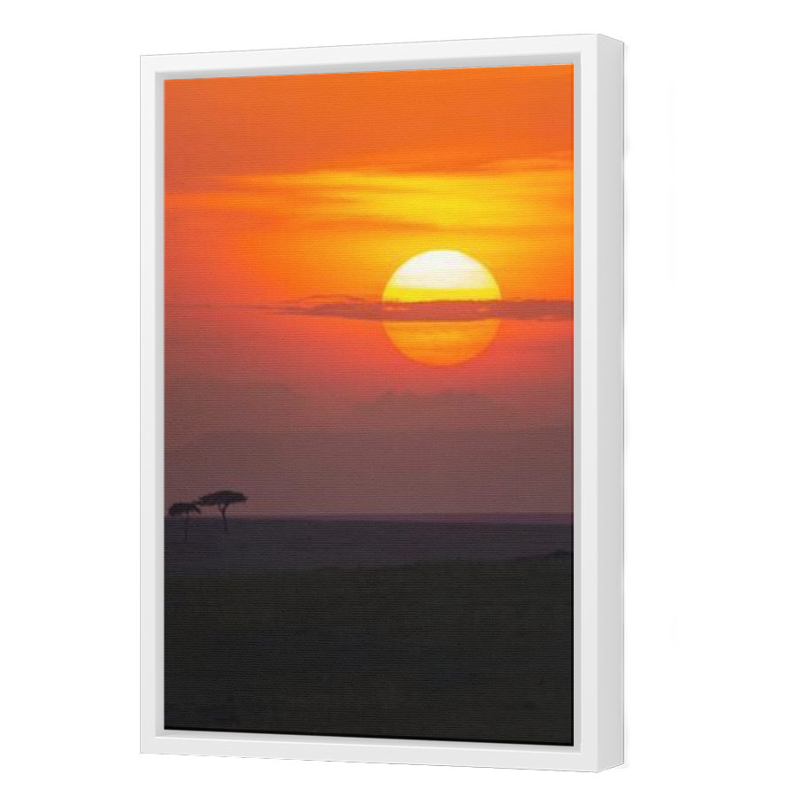 Thumbnail for Canvas - White Floating Frame