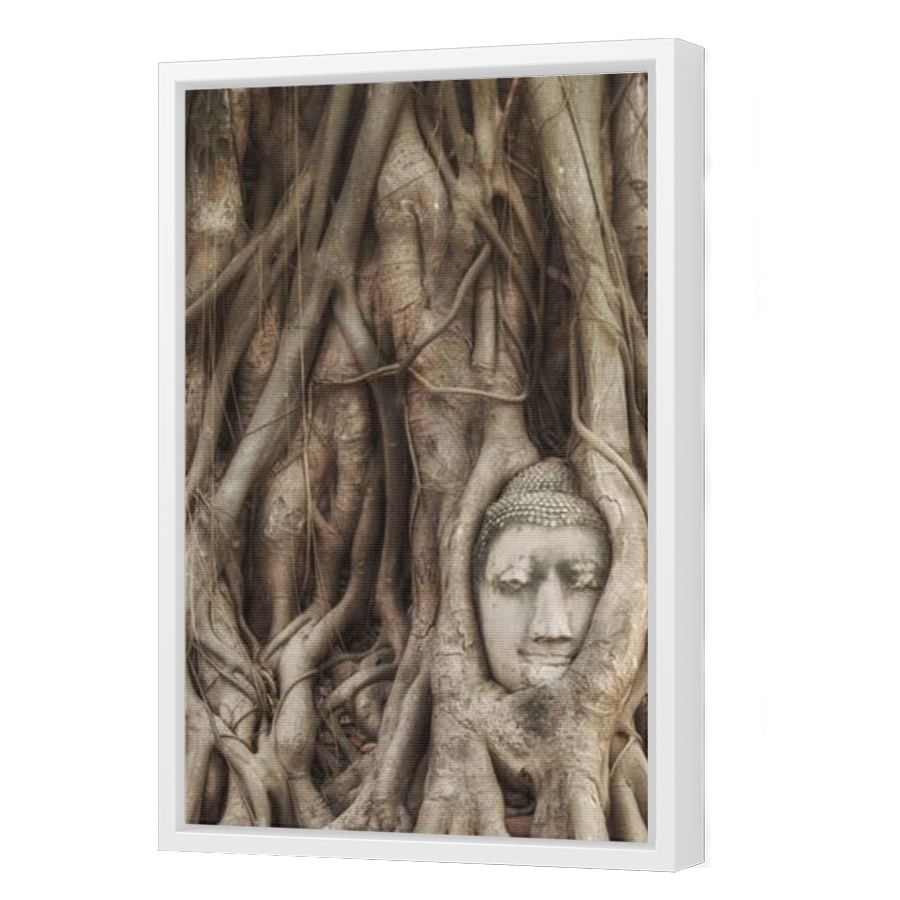 Thumbnail for Canvas - White Floating Frame