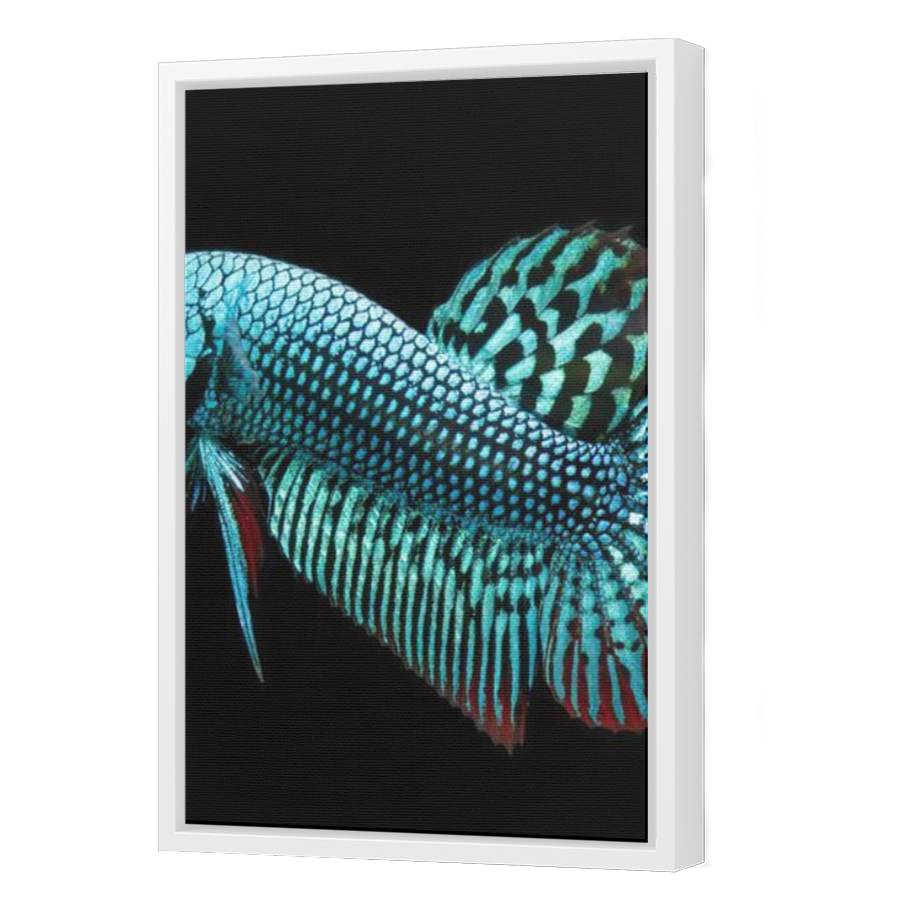 Thumbnail for Canvas - White Floating Frame