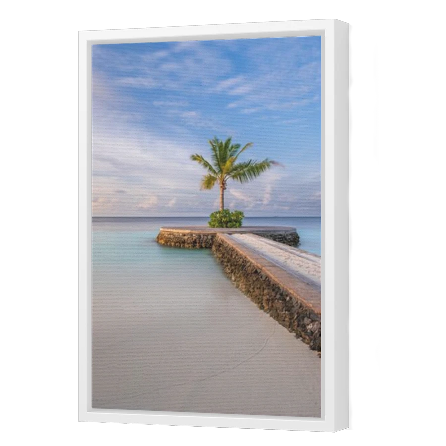 Thumbnail for Canvas - White Floating Frame