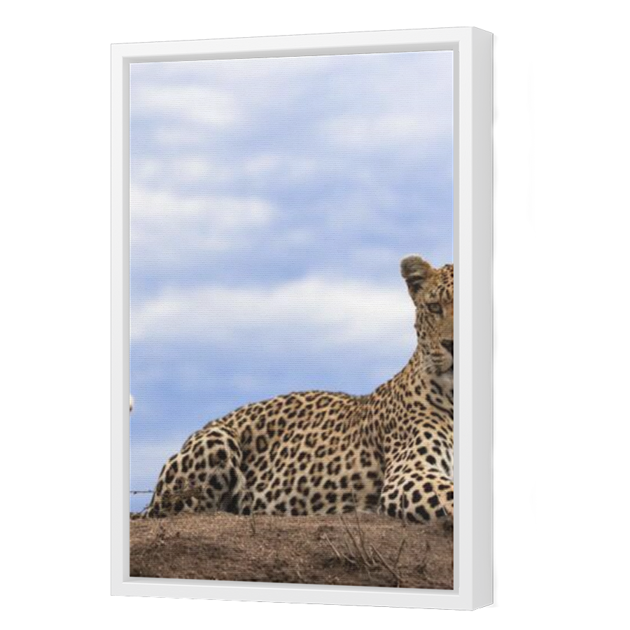 Thumbnail for Canvas - White Floating Frame