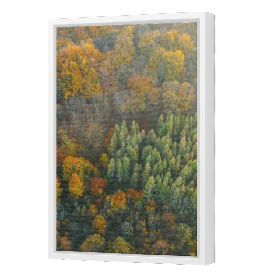 Thumbnail for Canvas - White Floating Frame