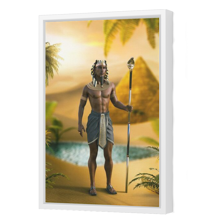 Thumbnail for Canvas - White Floating Frame