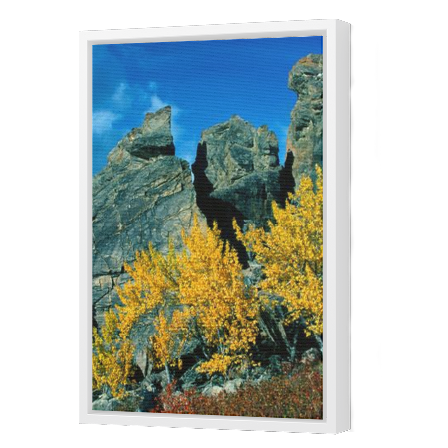 Thumbnail for Canvas - White Floating Frame