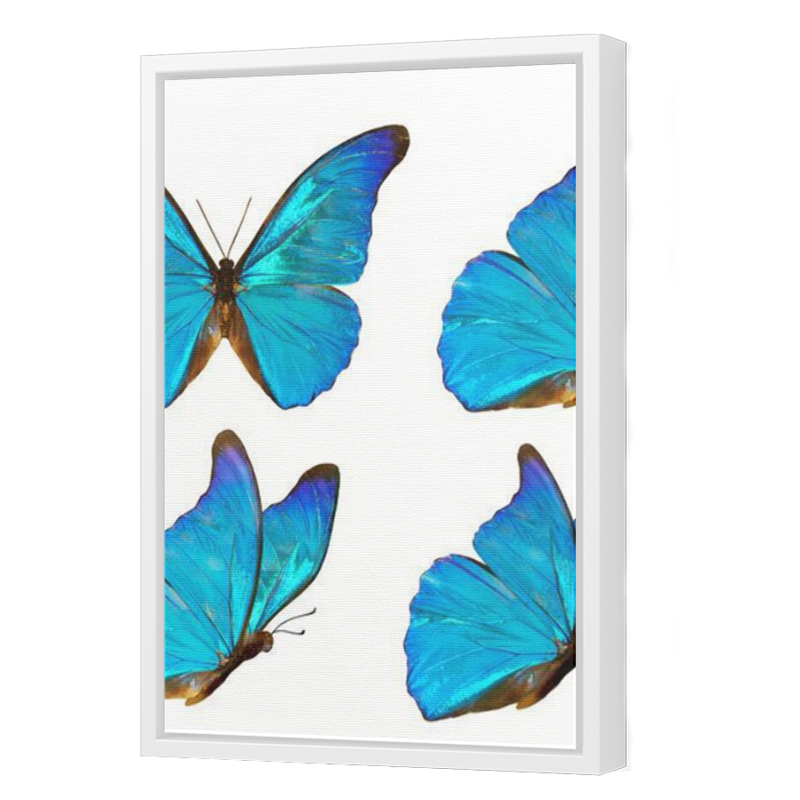 Thumbnail for Canvas - White Floating Frame