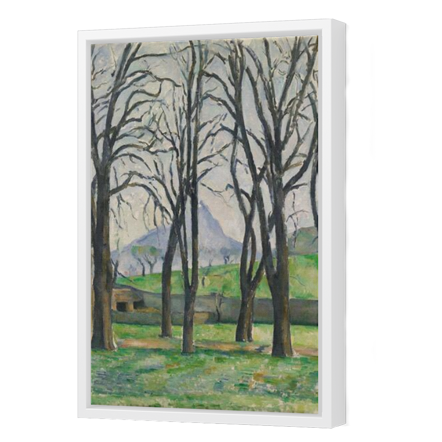 Thumbnail for Canvas - White Floating Frame