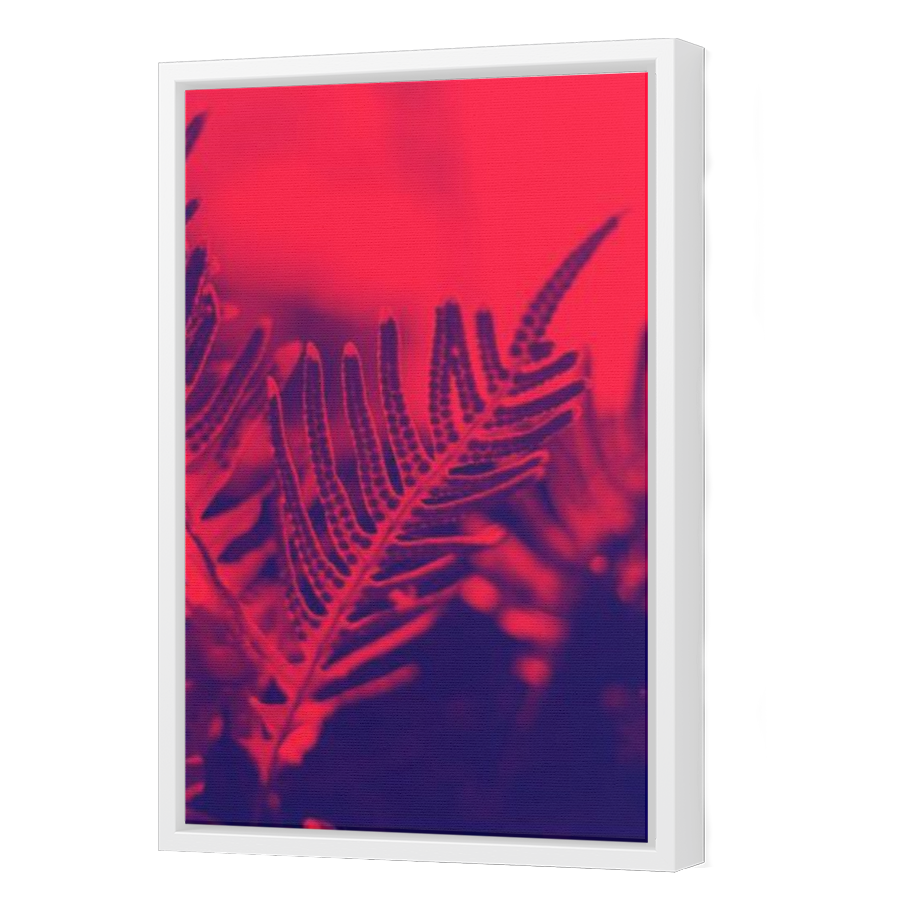 Thumbnail for Canvas - White Floating Frame