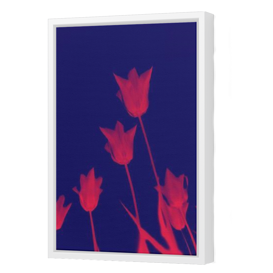 Thumbnail for Canvas - White Floating Frame