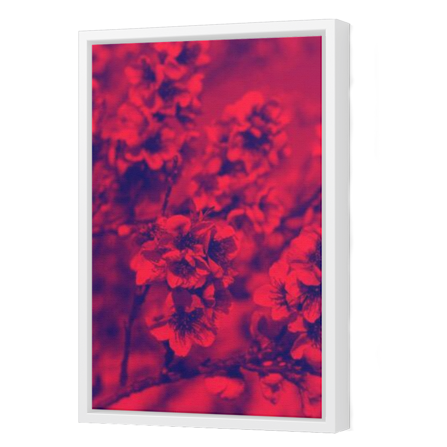 Thumbnail for Canvas - White Floating Frame
