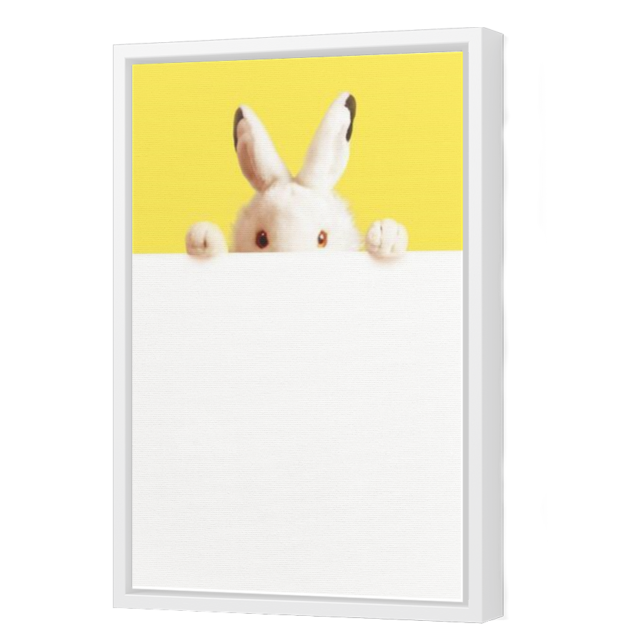 Thumbnail for Canvas - White Floating Frame