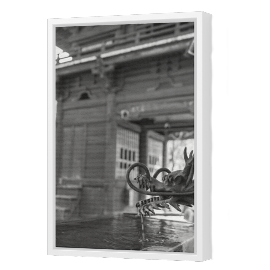 Thumbnail for Canvas - White Floating Frame