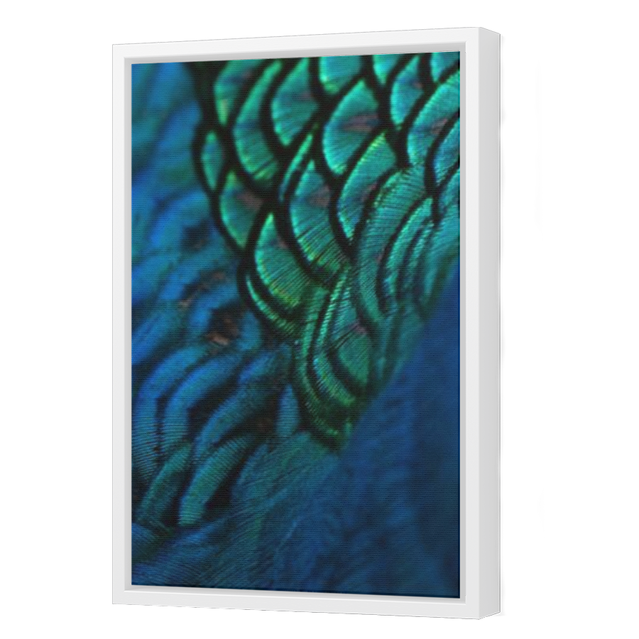 Thumbnail for Canvas - White Floating Frame