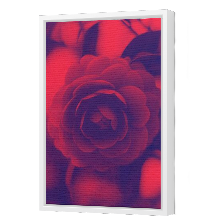 Thumbnail for Canvas - White Floating Frame