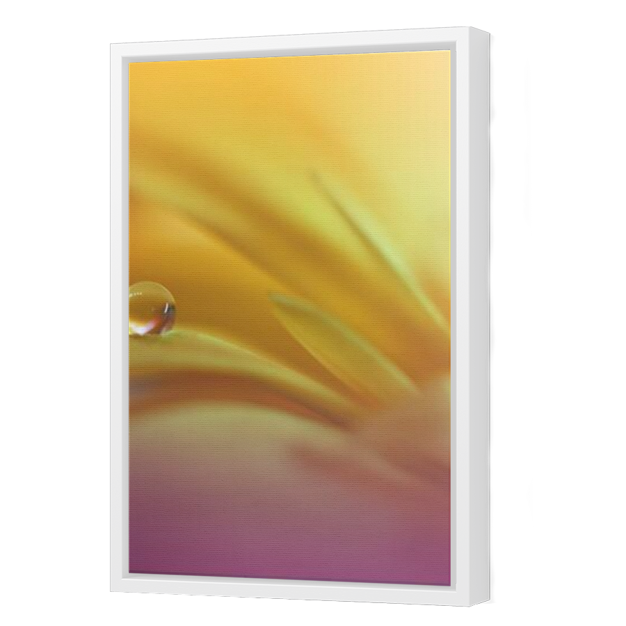 Thumbnail for Canvas - White Floating Frame