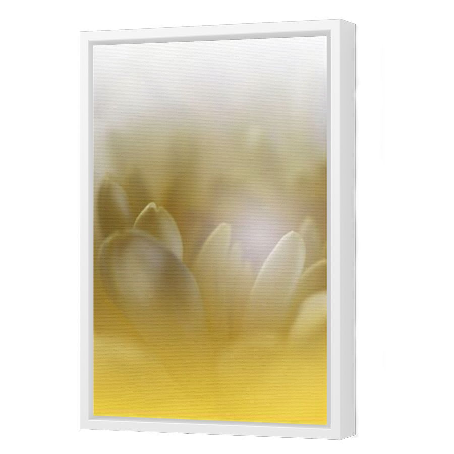 Thumbnail for Canvas - White Floating Frame