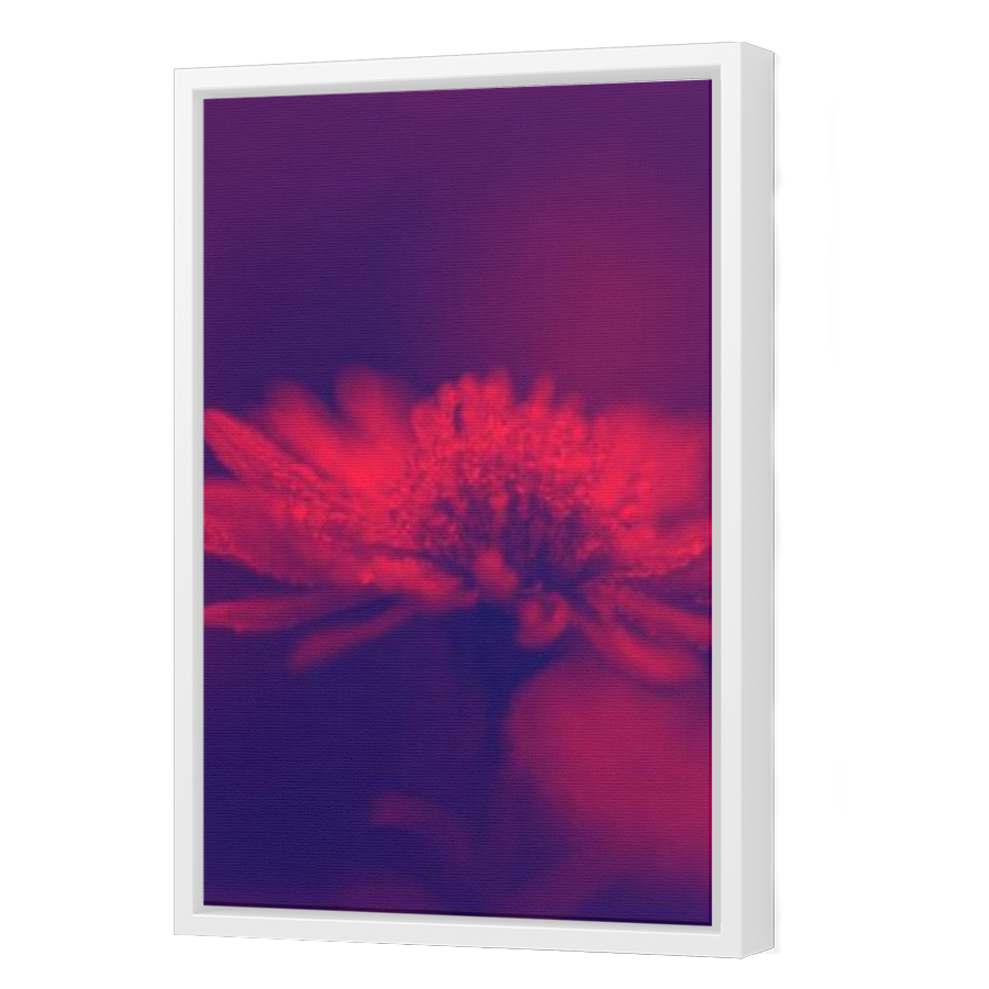 Thumbnail for Canvas - White Floating Frame