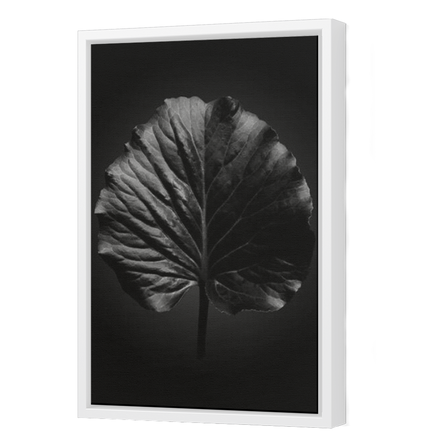 Thumbnail for Canvas - White Floating Frame