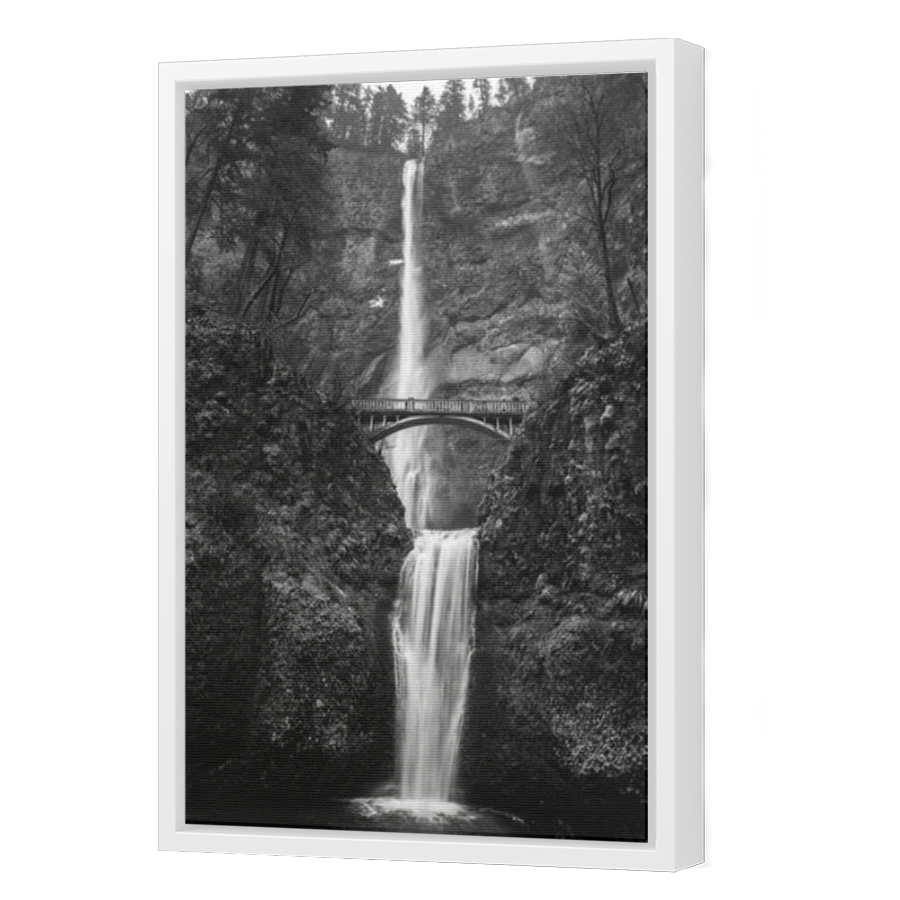 Thumbnail for Canvas - White Floating Frame