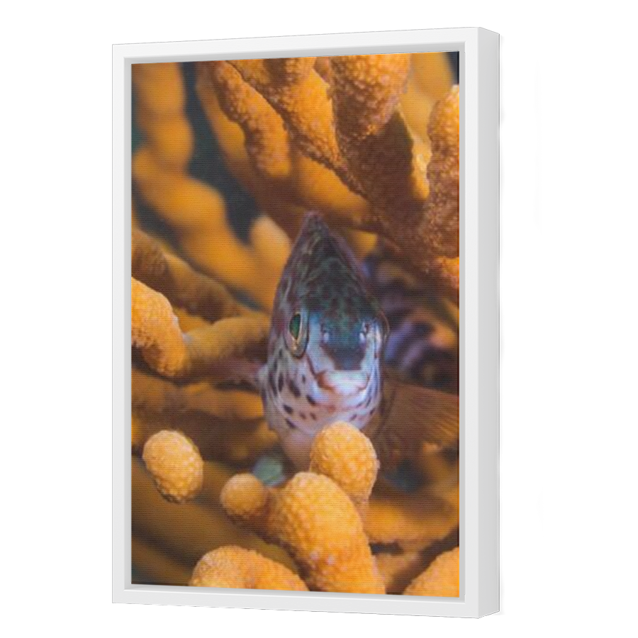 Thumbnail for Canvas - White Floating Frame
